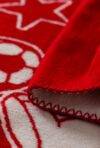 Blanket LION - Image 4