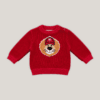 Upper part of the knitted lion